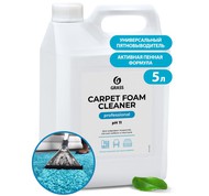        5,4 Grass Carpet Foam Cleaner (125202) 